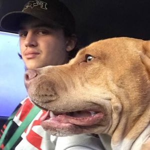 Meet your Posher, Alex